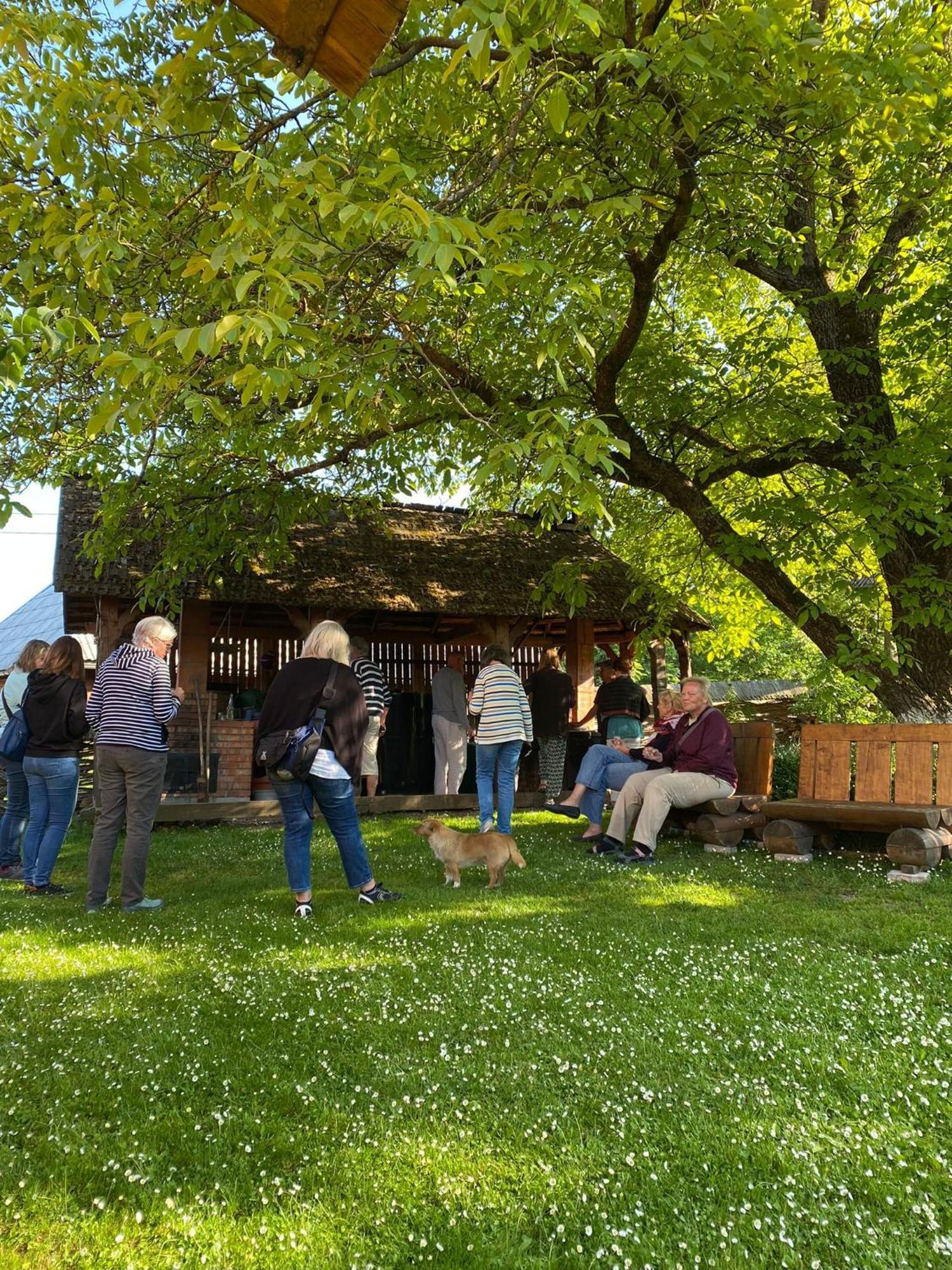 Pensiunea Marioara Breb Exterior photo